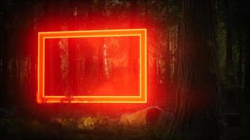 marco rectangular brillante de neón en el bosque nocturno video