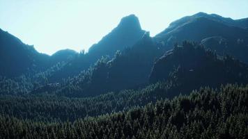 panoramic aerial view of rocky ridge among green forest at sunset video