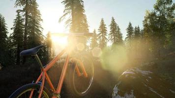 bicicleta en bosque de montaña video