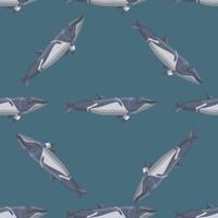 Seamless pattern lesser rorqual on teal background. Template of cartoon character of ocean for fabric. vector