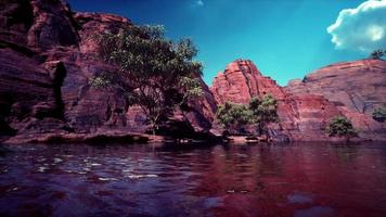 colorado river with gorgeous sandstone walls and canyons video