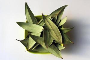 especias hojas de laurel aislado sobre fondo blanco. foto