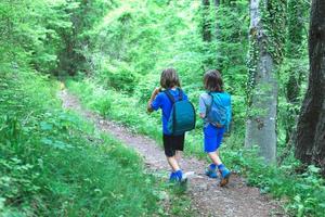 Two children are walking on a path