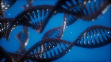 structuur van de dna dubbele helix animatie video