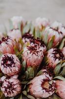 Pink Protea Bouquet photo