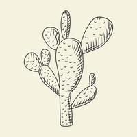 cactus de pera espinosa aislado sobre fondo claro en estilo dibujado a mano. boceto de cactus silvestres. grabado de la vendimia. vector