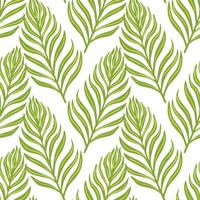 Isolated simple style seamless botany pattern with fern silhouettes ornament. White background. Green foliage. vector