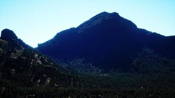 panorama del bosque de conos en las montañas video