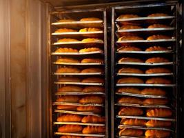 protwini with baguettes baked in the oven photo