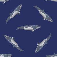 Seamless pattern lesser rorqual on blue background. Template of cartoon character of ocean for fabric. vector