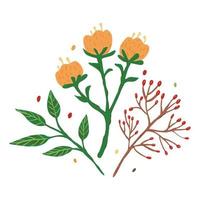 Composition from flowers and foliage on white background. Abstract botanical sketch hand drawn in style doodle. vector