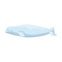 beluga aislado sobre fondo blanco. personaje de dibujos animados del océano para niños. impresión simple con mamífero marino. vector