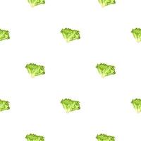 Seamless pattern Batavia salad on white background. Minimalistic ornament with lettuce. vector