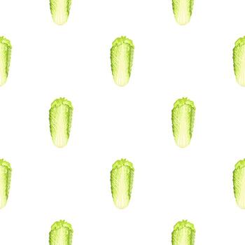 repollo chino de patrones sin fisuras sobre fondo blanco. adorno minimalista con lechuga. vector