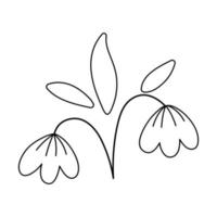 Vector black and white snowdrops icon. First blooming plants outline illustration or coloring page. Floral clip art. Cute line spring flowers isolated on white background.