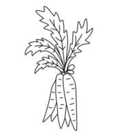 vector blanco y negro manojo de icono de zanahoria. ilustración de contorno vegetal de raíz saludable o página para colorear. imágenes prediseñadas de alimentos. linda planta aislada sobre fondo blanco.