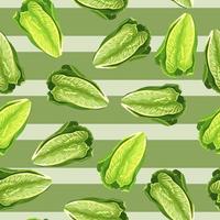 Seamless pattern lettuce Romano on stripe green background. Beautiful texture with salad. vector