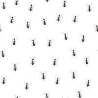 Seamless pattern colony ants on white background. Vector insects template in flat style for any purpose. Modern animals texture.