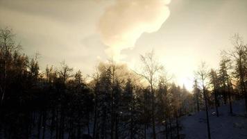 paysage d'hiver majestueux éclairé par la lumière du soleil video