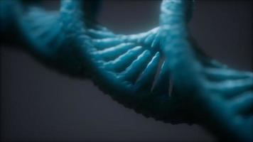 loopbare structuur van de DNA-dubbele helix-animatie video