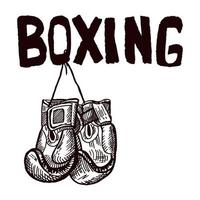 Boxing gloves hanging on title sketch isolated. Sporting equipment for boxing in hand drawn style. vector