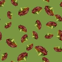 Seamless pattern lola rosa salad on green background. Modern ornament with lettuce. vector