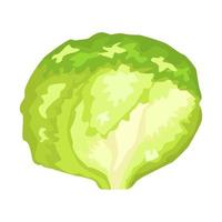 lechuga iceberg aislada sobre fondo blanco. tipo ensalada de estilo plano. símbolo de agricultura para cualquier propósito vector