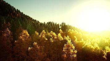 coucher de soleil lumineux dans les montagnes video