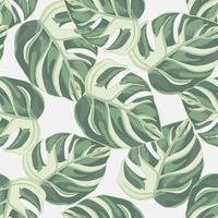 Tropical seamless pattern on white background. Abstract texture decoration with leaf monstera light green color. vector