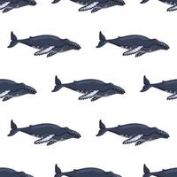 Seamless pattern Humpback whale on white background. Template of cartoon character of ocean for children. vector