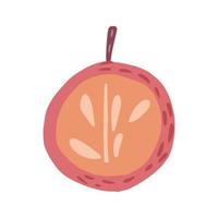 Half red apple with twig and without leaf isolated on white background. Apple with seeds hand drawn in doodle style. vector