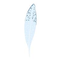 Feather isolated on white background. Hand drawn graphic element. vector