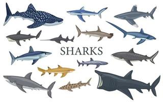 Set shark isolated on white background in flat. Different kind of sharks.