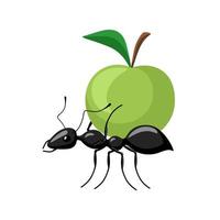 Ant carrying food isolated on white background. Bug carrying apple and walking to the anthill. vector