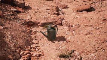 Beverage can in sand and rocks desert video