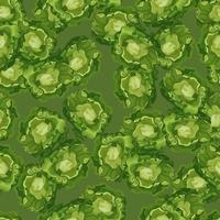 Seamless pattern Butterhead salad on green background. Modern ornament with lettuce. vector