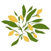 Composition from lemon, twigs and foliage on white background. Abstract botanical sketch hand drawn in style doodle. vector