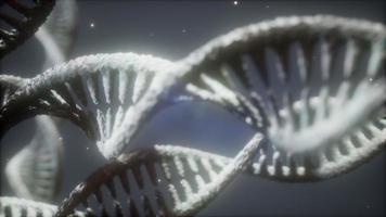 dubbele spiraalvormige structuur van close-up animatie van DNA-streng video