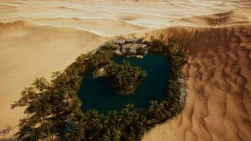 top down aerial view of oasis in desert video