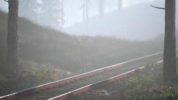 el ferrocarril vacío atraviesa un bosque nublado por la mañana video