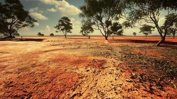 areia rachada no verão com o sol video