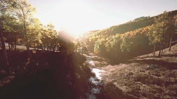 pôr do sol brilhante nas montanhas com floresta amarela video