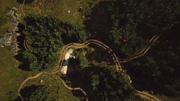 veduta aerea della strada attraverso la foresta video