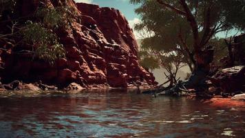 Redwall-Spiegelung im Colorado River video