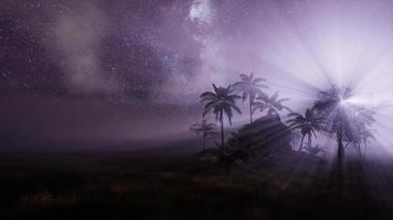 Via Lattea sopra la foresta pluviale tropicale. video