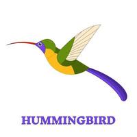 Hummingbird Line Art Icon vector