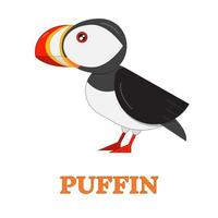 Puffin Sea Bird Icon vector