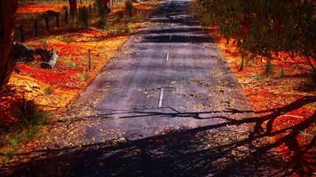 Route ouverte en Australie avec des buissons video