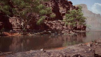 colorado river with gorgeous sandstone walls and canyons video