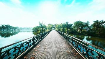 Puente viejo de 8k en el parque en verano video